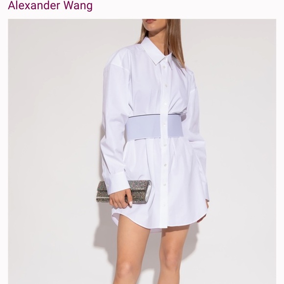 Alexander Wang Dresses & Skirts - Alexander Wang Crisp White Belted Shirt Dress